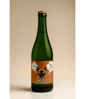 PetNat putojantis sausas vynuogių vynas