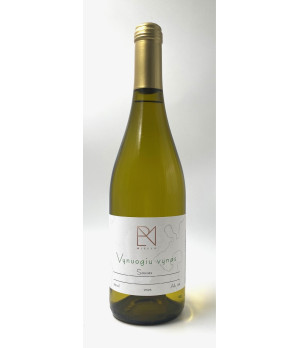 Vynuogių sausas vynas