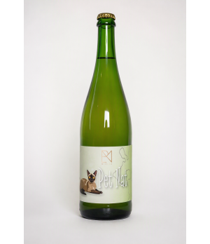 PetNat putojantis sausas vynuogių vynas