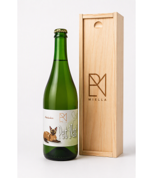 PetNat putojantis sausas vynuogių vynas