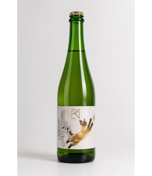 PetNat putojantis sausas svarainių vynas